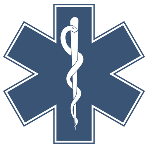 EMS Icon